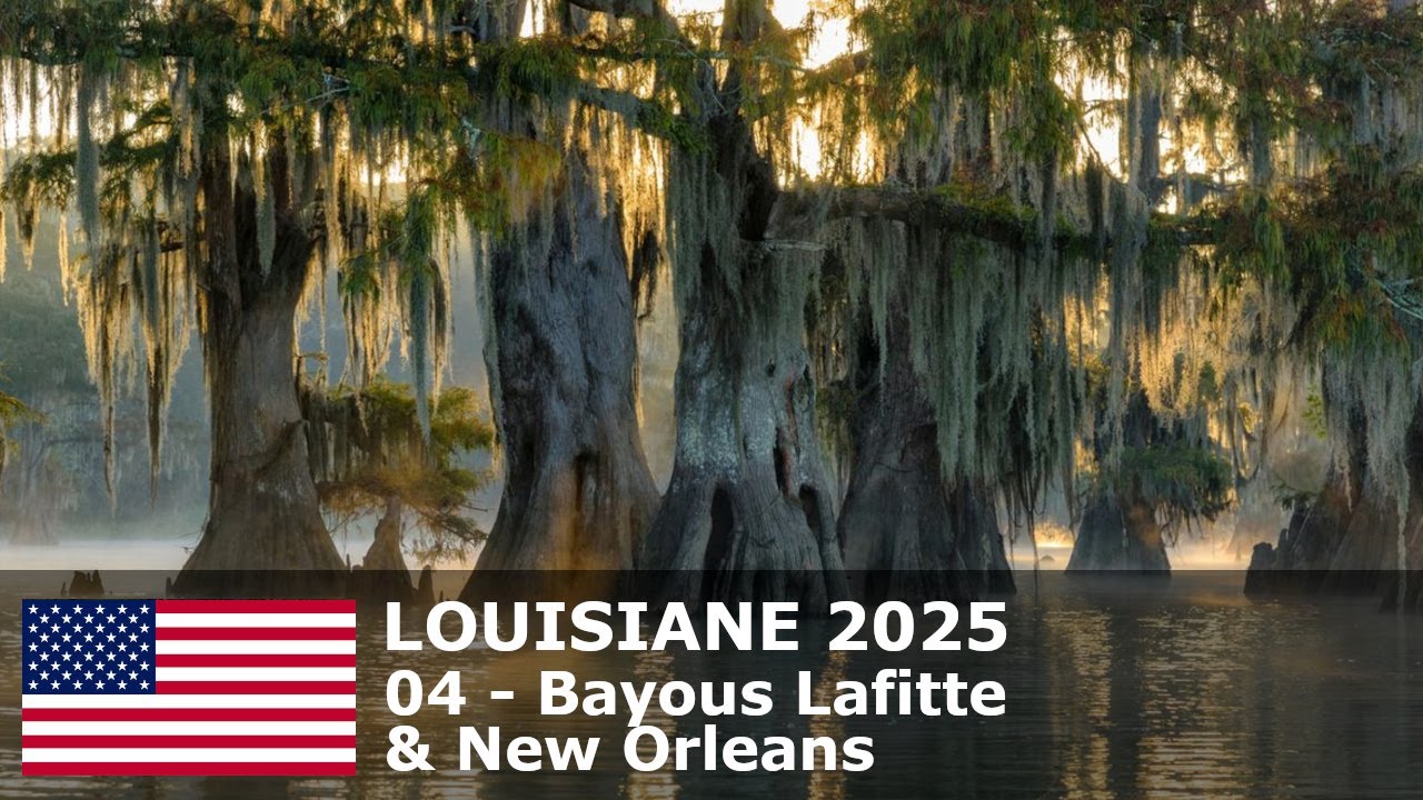 LOUISIANE 2025 - 04 - Bayous Lafitte & New Orleans