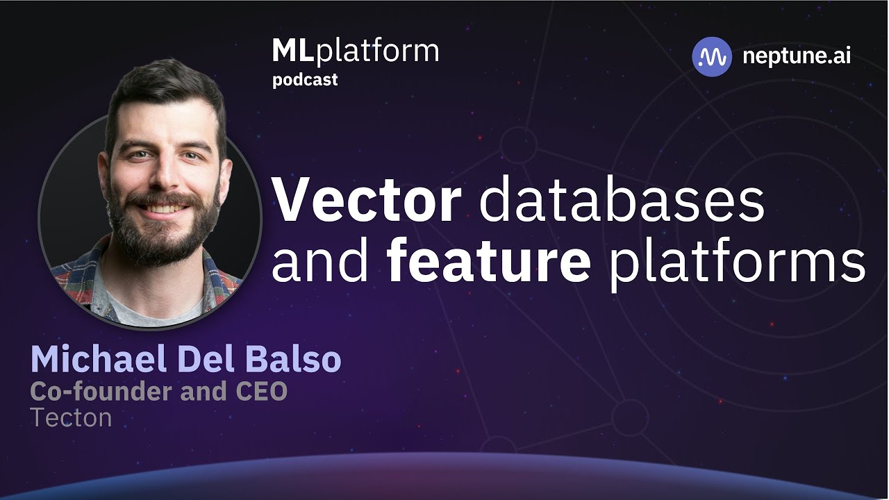 Vector Databases and Feature Platforms [With Mike Del Balso From Tecton]