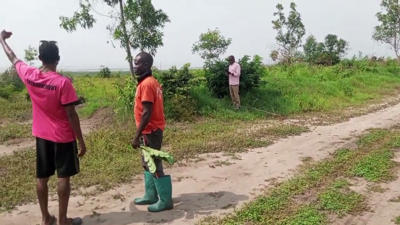 Parcelles mis en vente 15/20m 12.500$ et les hectares.C/nsele,Q/fatshi béton.+243821095879.