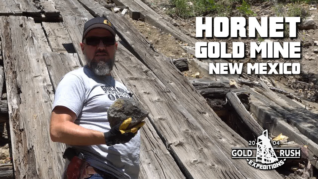 Hornet Gold Mining Claim - New Mexico - 2017