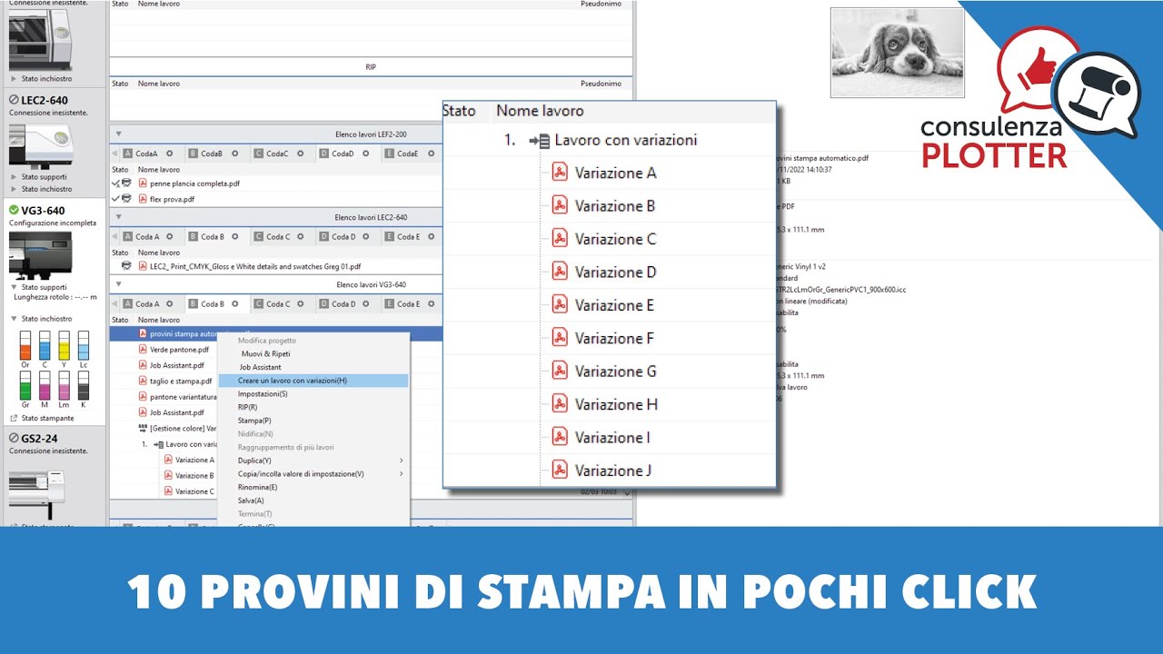 10 prove di stampa in pochi minuti con Roland VersaWorks 6