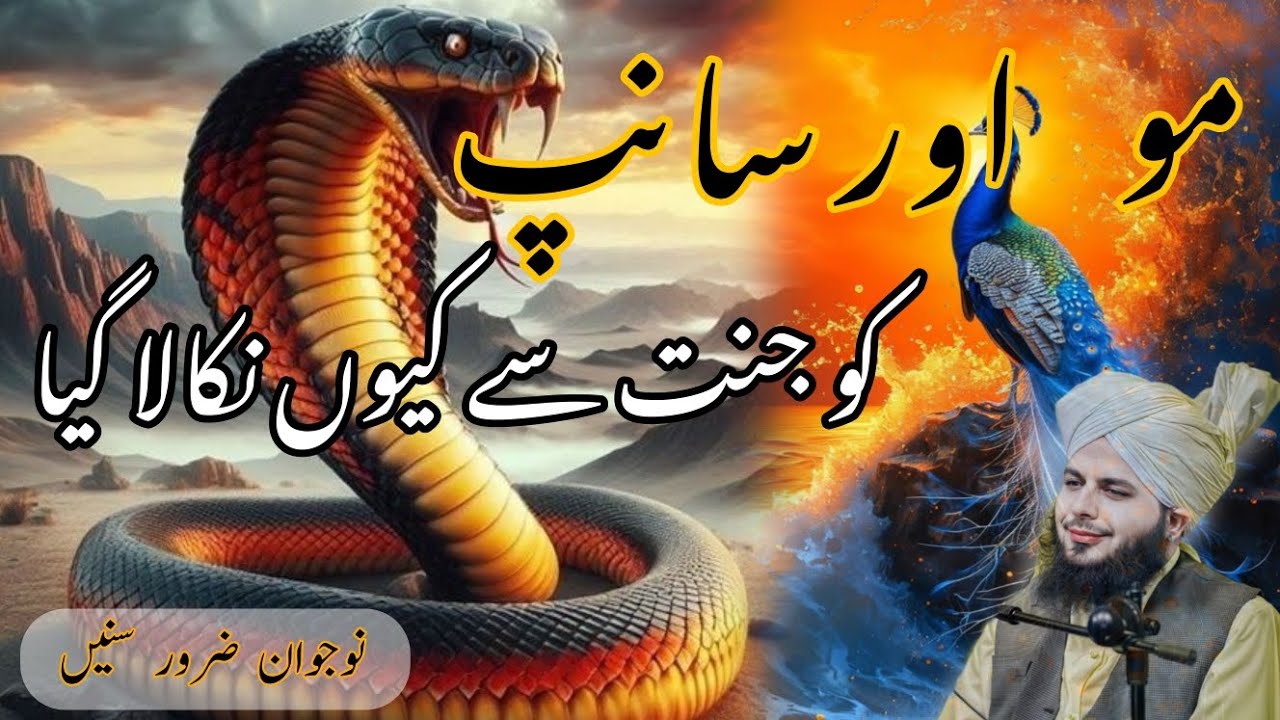 Mor Aur Saanp Ko Jannat Se Kyun Nikala Gaye | Ajmal Raza Qadri New Bayan | by Islami raah 786 |