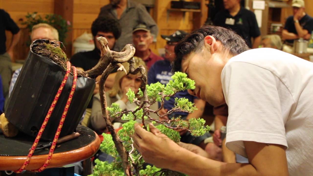 Cascade Bonsai styling by Minoru Akiyama