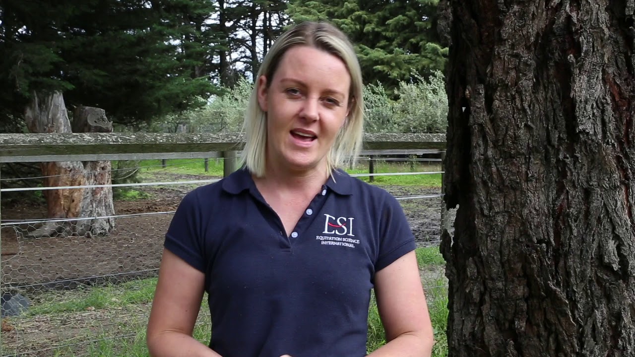10872NAT Diploma of Equitation Science: International Students