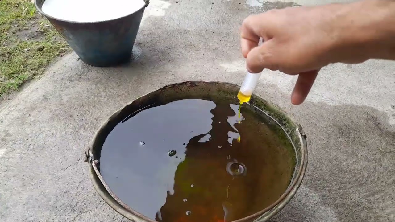 veja como engorda cabras magra/como prepara vitaminas pra cabras/veja essa dica