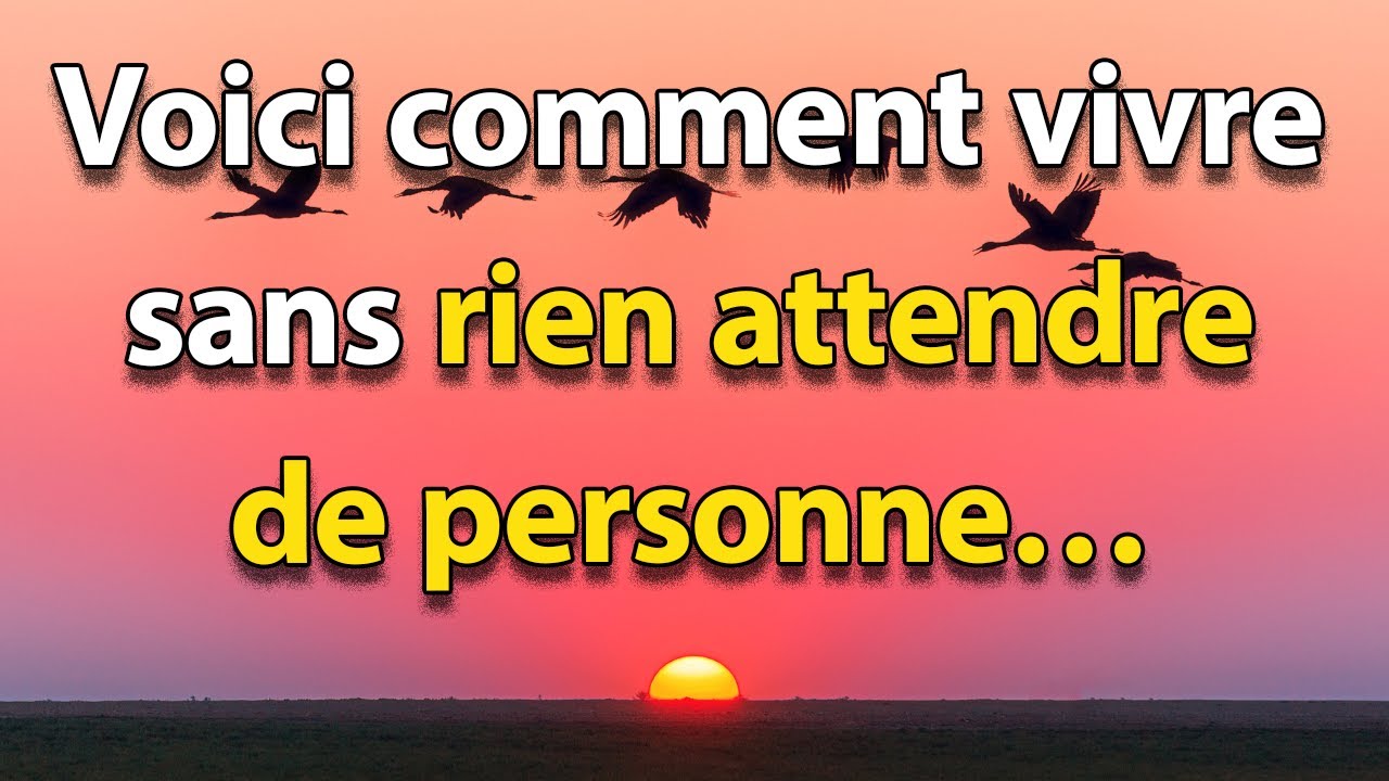 Le Bouddhisme t’apprend ceci : n’attends RIEN DE PERSONNE, et tu seras libre