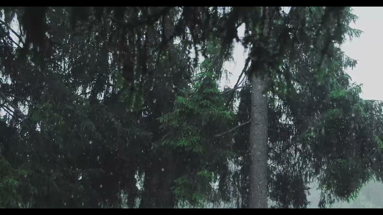 Chill Rain Music