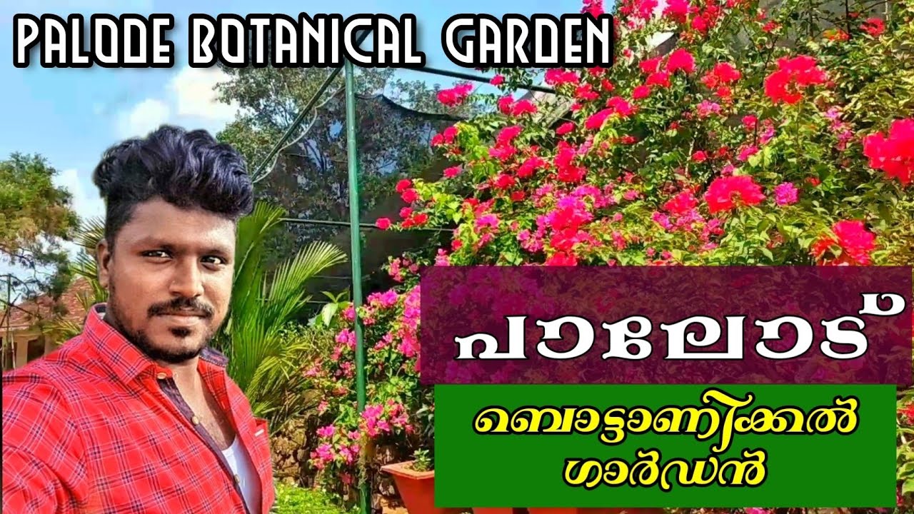 Palode Botanical Garden JNTBGRI Jawaharlal Nehru Tropical Botanic Garden Palode TVM