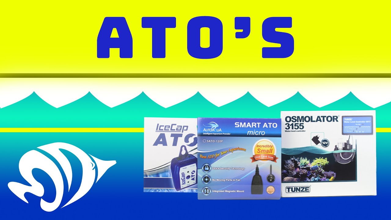 How Auto Top Off Systems Work And How They Keep Your Tank Happy and Healthy!