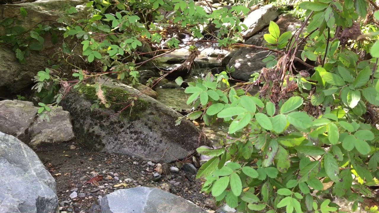 Hancock, VT