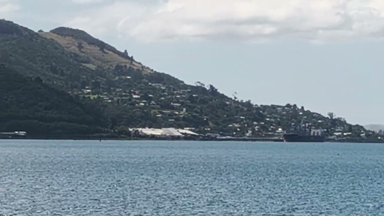 Otago Peninsula, Dunedin, New Zealand Feb. 9th 2026