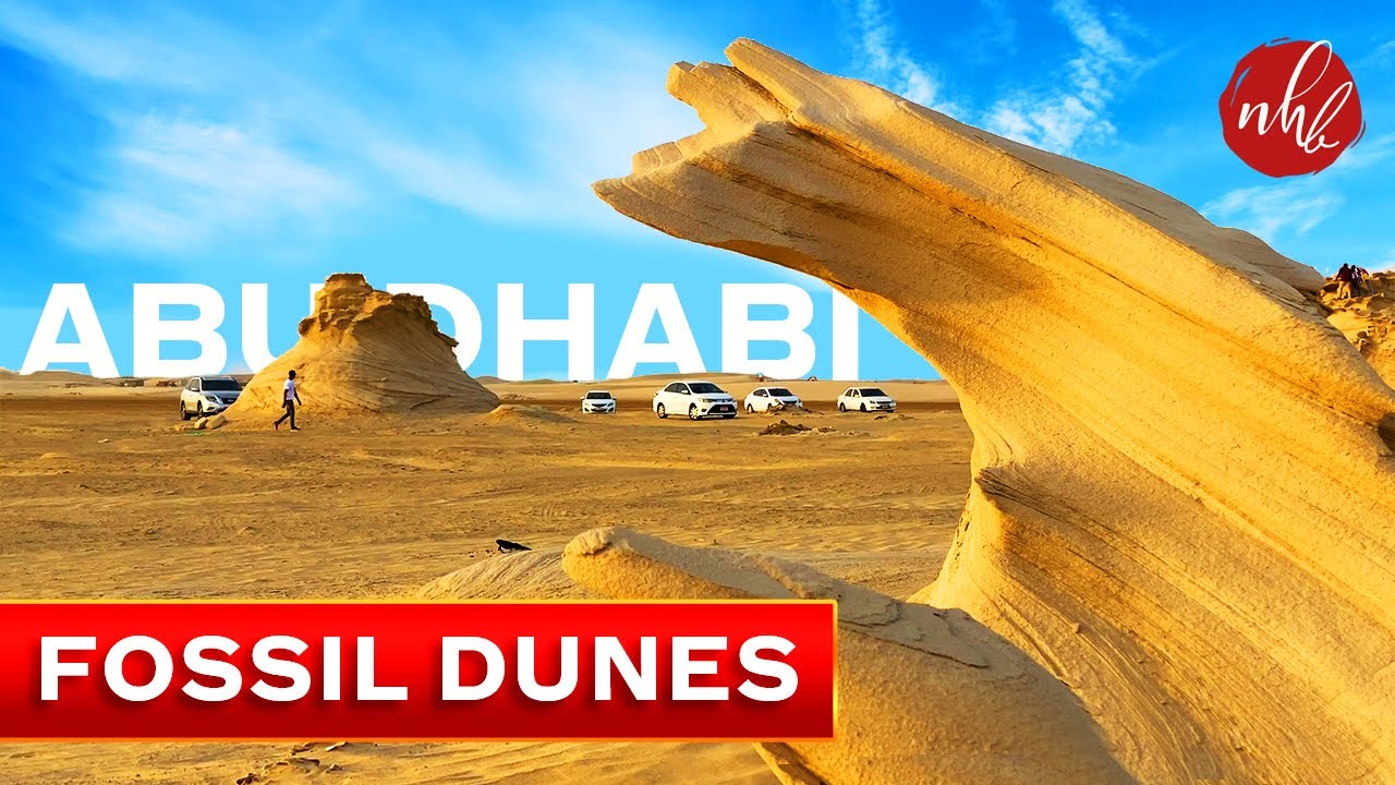 Abu Dhabi Fossil Dunes | A Trip to Al Wathba Fossil Dunes | 4K