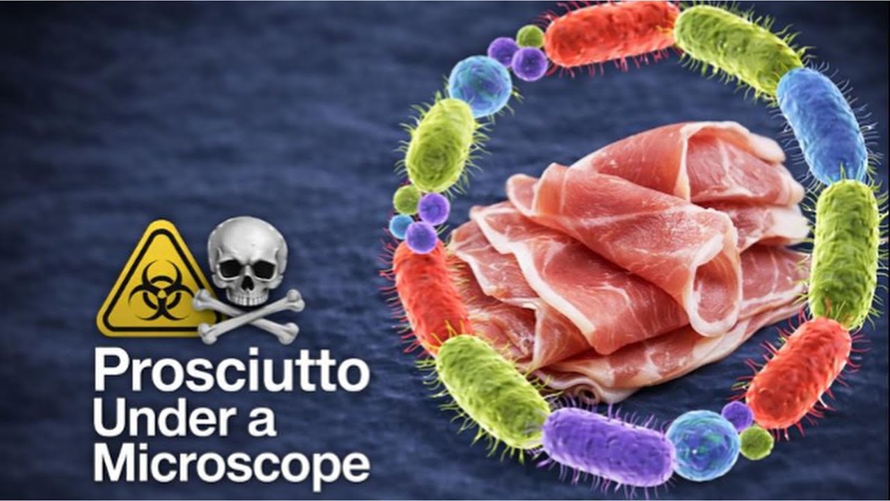 I Was Shocked When I Looked at Prosciutto Under the Microscope