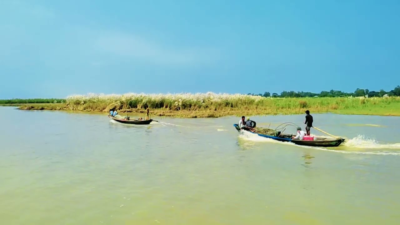 গ্রাম বাংলার নদীর দৃশ্য এবং মাছ ধরা | Copyright Free Nature Clips #ncv #nciv   @AVLibrary4u
