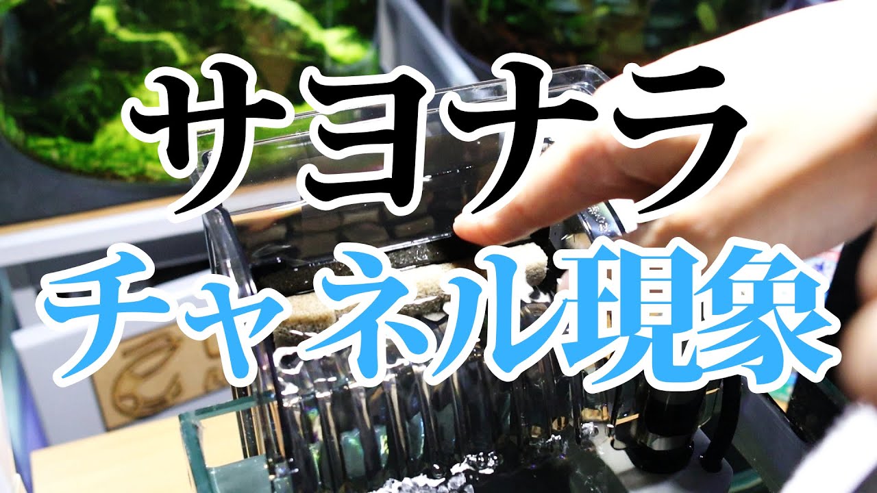 濾過能力が不滅！？テトラAT-50外掛けフィルター改造【アクアリウム】