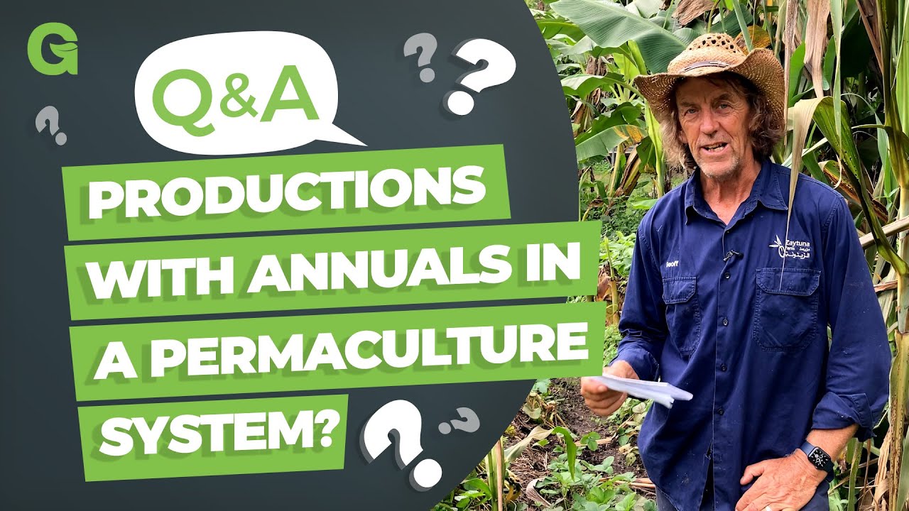 Considering Productions With Annuals in a Permaculture System