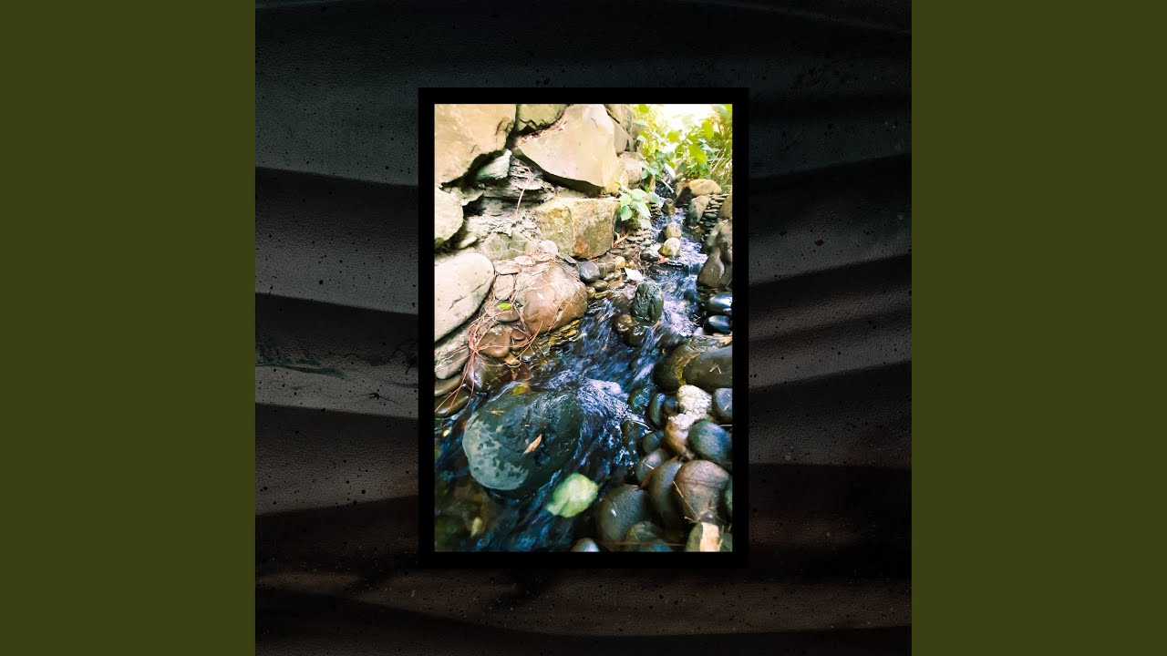 Mindful Waters