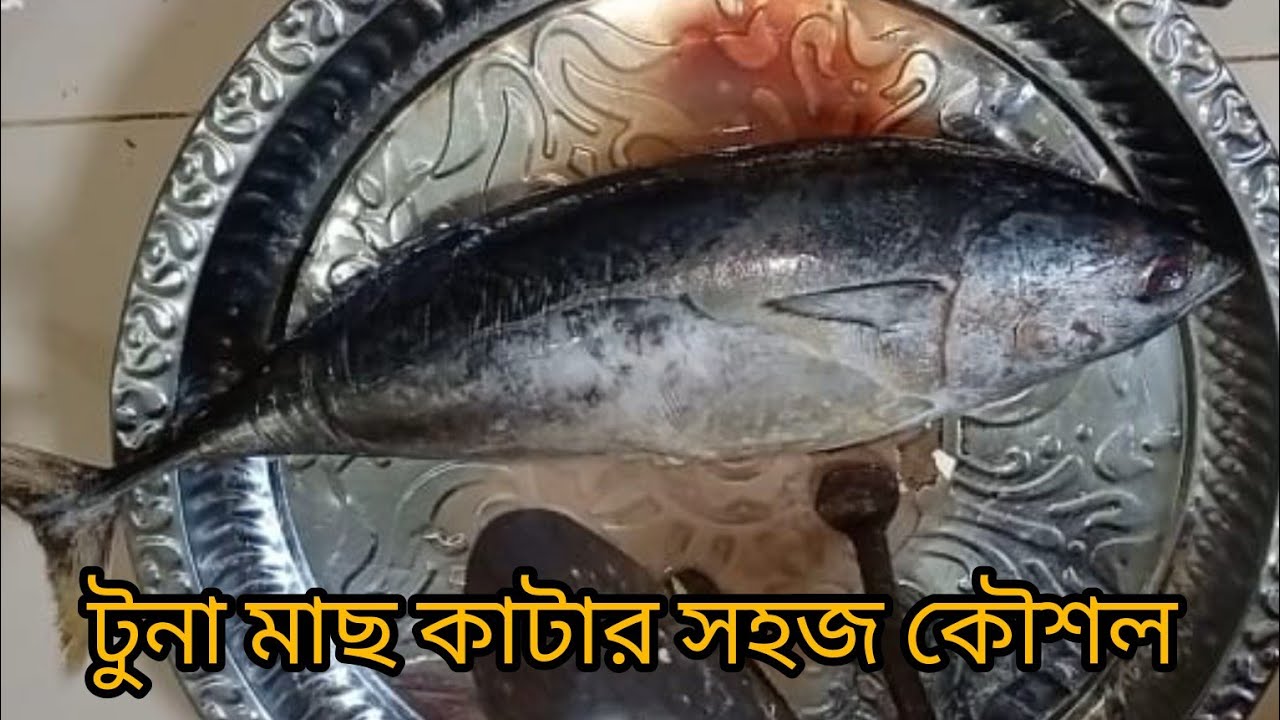 টুনা মাছ কাটা এবং পরিষ্কার করার সহজ পদ্ধতি /tuna fish cutting and cleaning 🐠