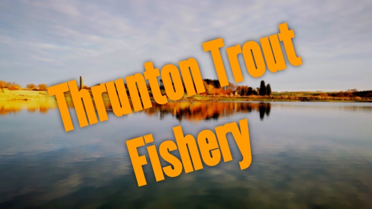 Fly Fishing | Thrunton Trout Fishery | Alnwick | Nortumberland.