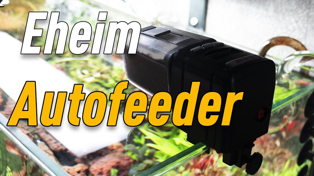 Eheim Autofeeder обзор. Автоматическая кормушка для аквариума