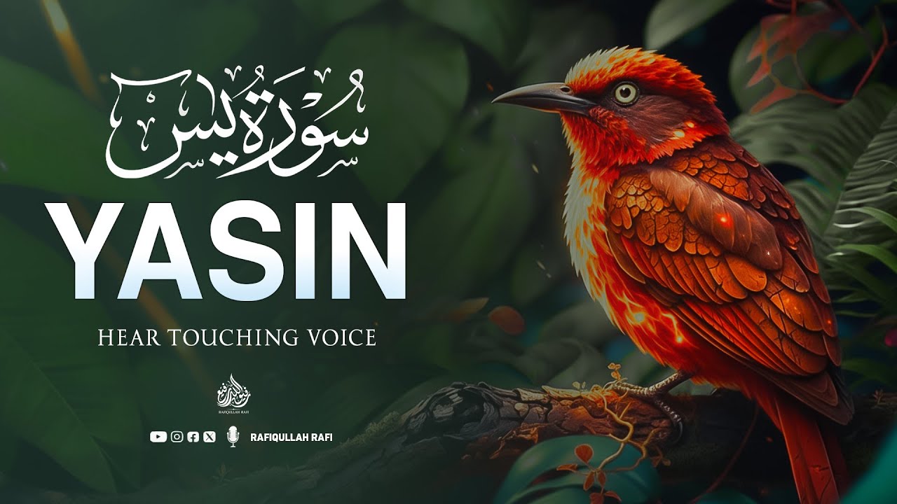 Surah Yaseen (Yasin) سورة يس | Heart Soothing Quran for Inner Calm & Spiritual Healing #lofiquran