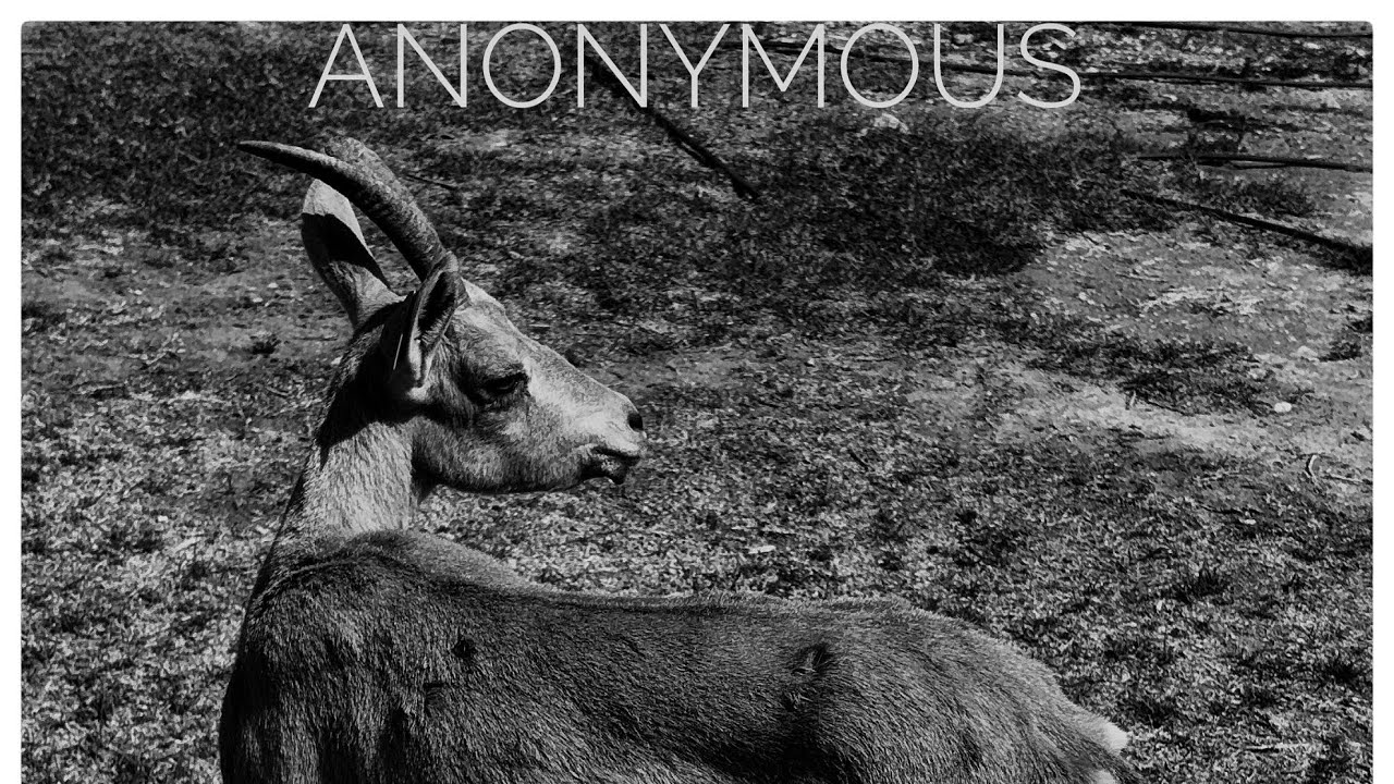 Anonymous Part I