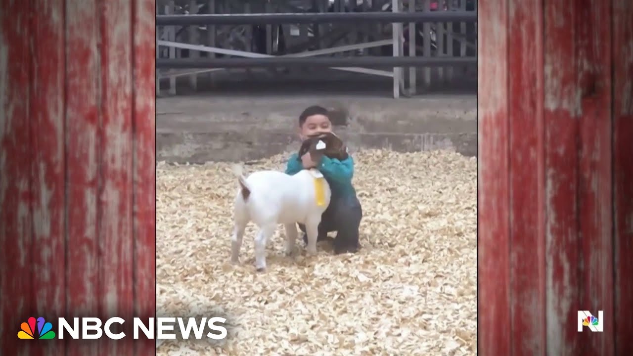 Young boy places fourth but wins hearts at goat show
