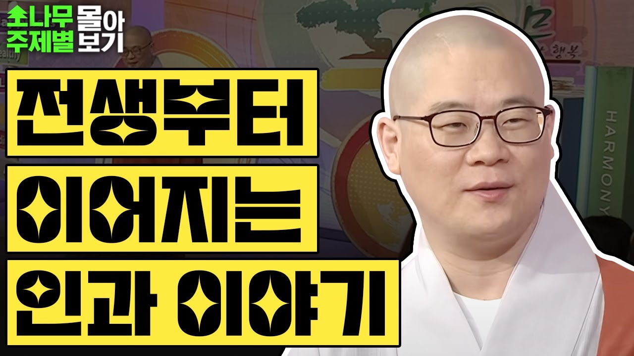전생부터 이어지는 인과 이야기 TOP3 ✨  [광우스님 소나무 주제별 몰아보기]