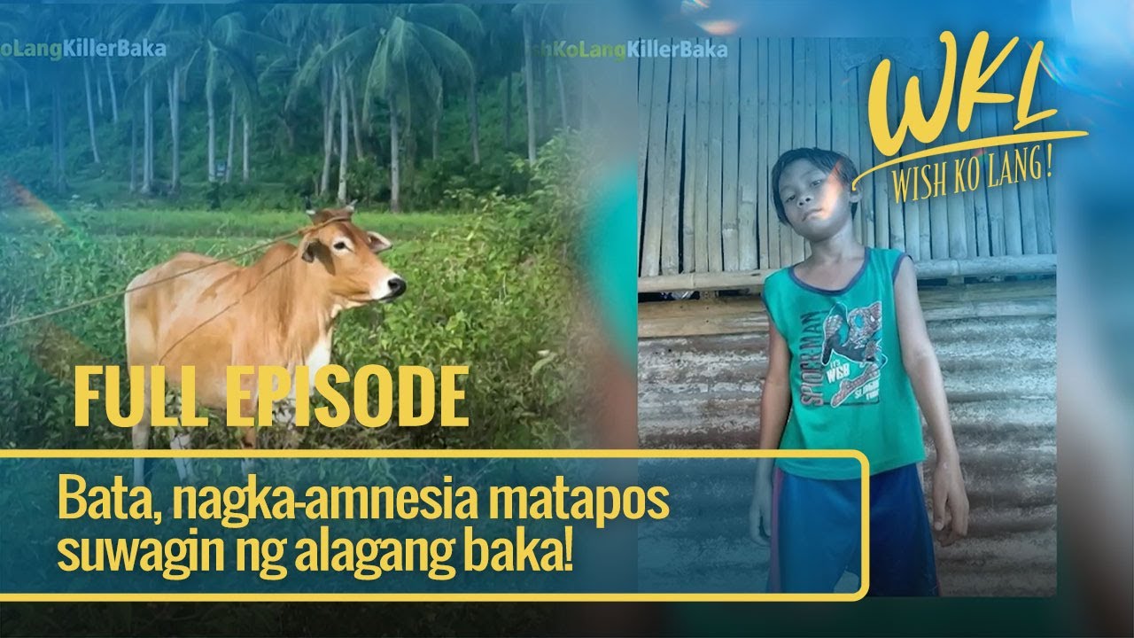 Bata, nagka-amnesia matapos suwagin ng alagang baka! (Full Episode) | Wish Ko Lang