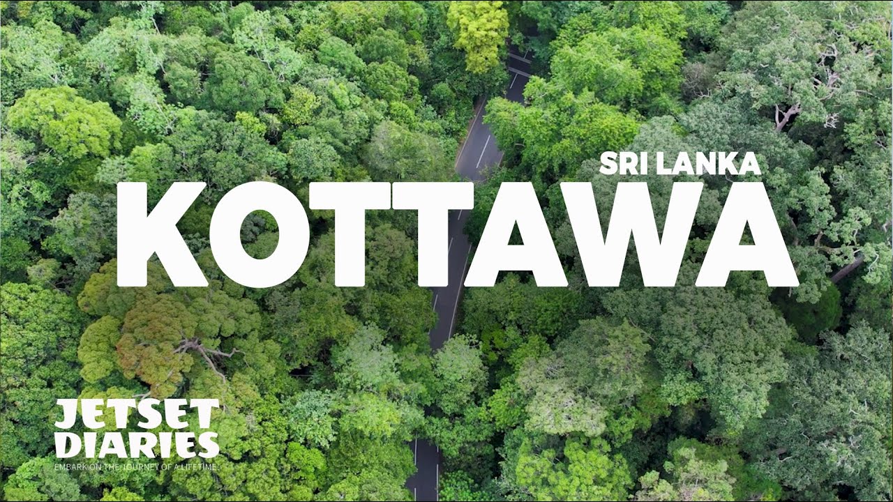 Kottawa Reserve Forest Drone Eye | Sri Lanka #visitsrilanka #getsetdiaries #kottawaforest
