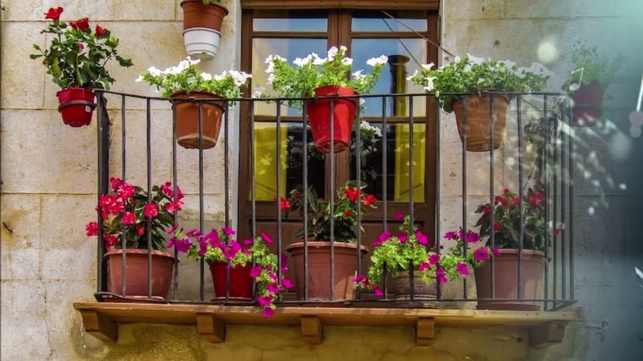 BALDOMERO FERNÁNDEZ MORENO  - Setenta balcones y ninguna flor.
