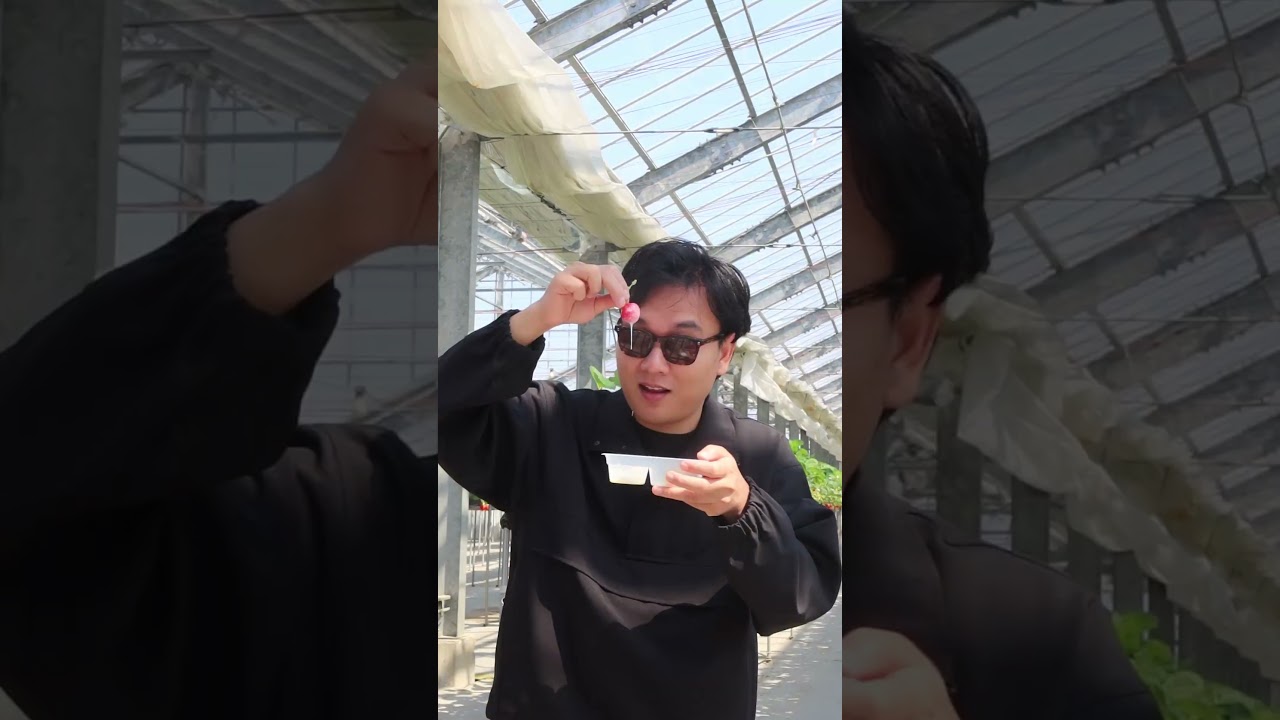 Sumimasen, come to Japan pt13 
