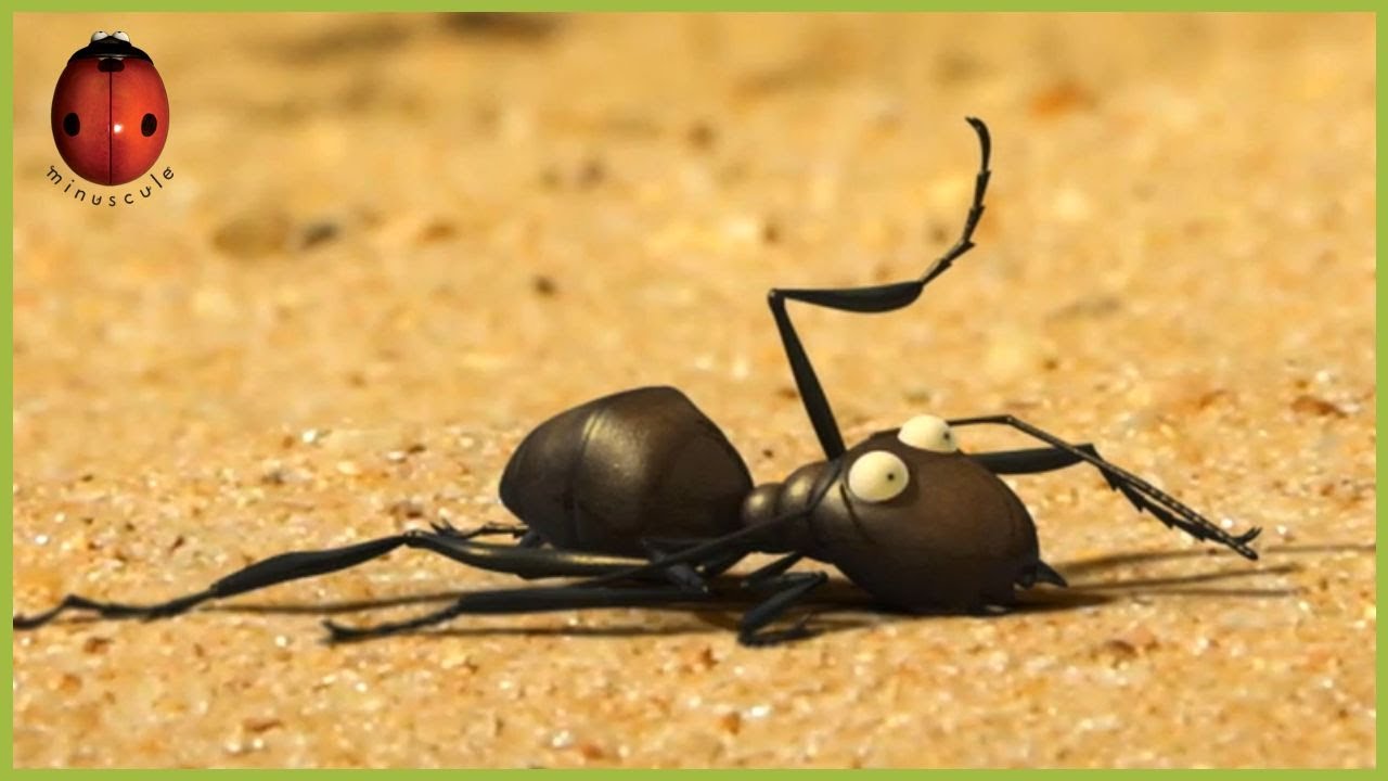 Frytki 🍟 Minuscule | Kompilacja 55'