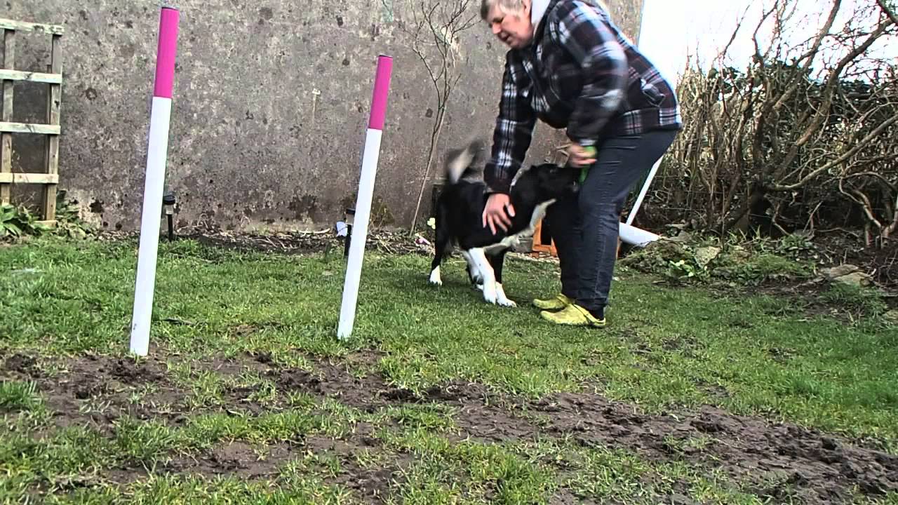 Trying the 2 x 2 poles