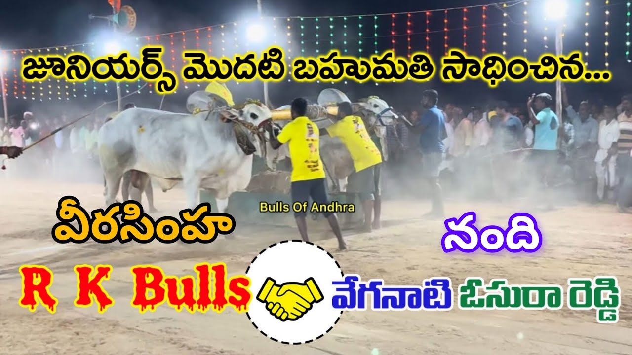 నాదెండ్ల జూనియర్ విభాగంలో మొదటి బహుమతి సాధించిన వీరసింహా & నంది | Bulls Of Andhra