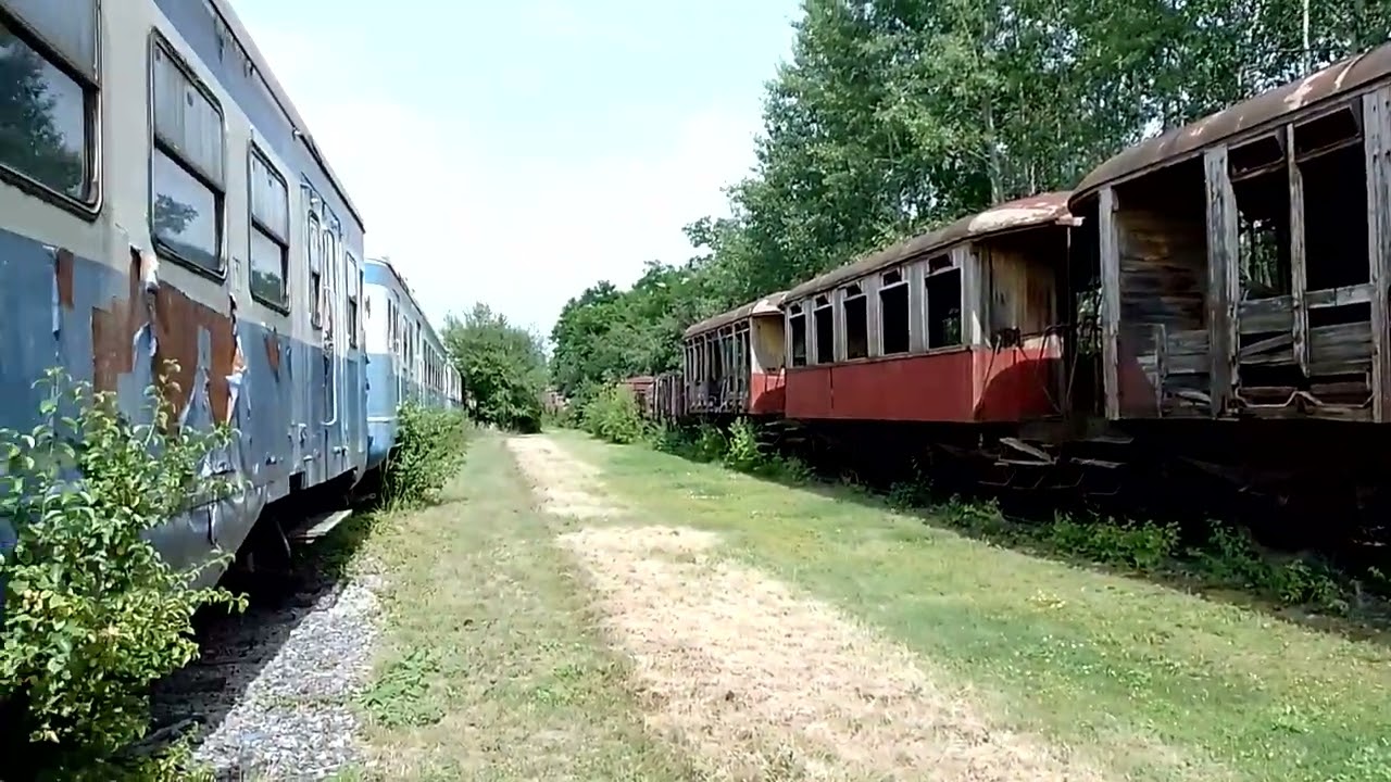 Eisenbahnmuseum Strasshof. Abgestellte Wagen, Juli 2024