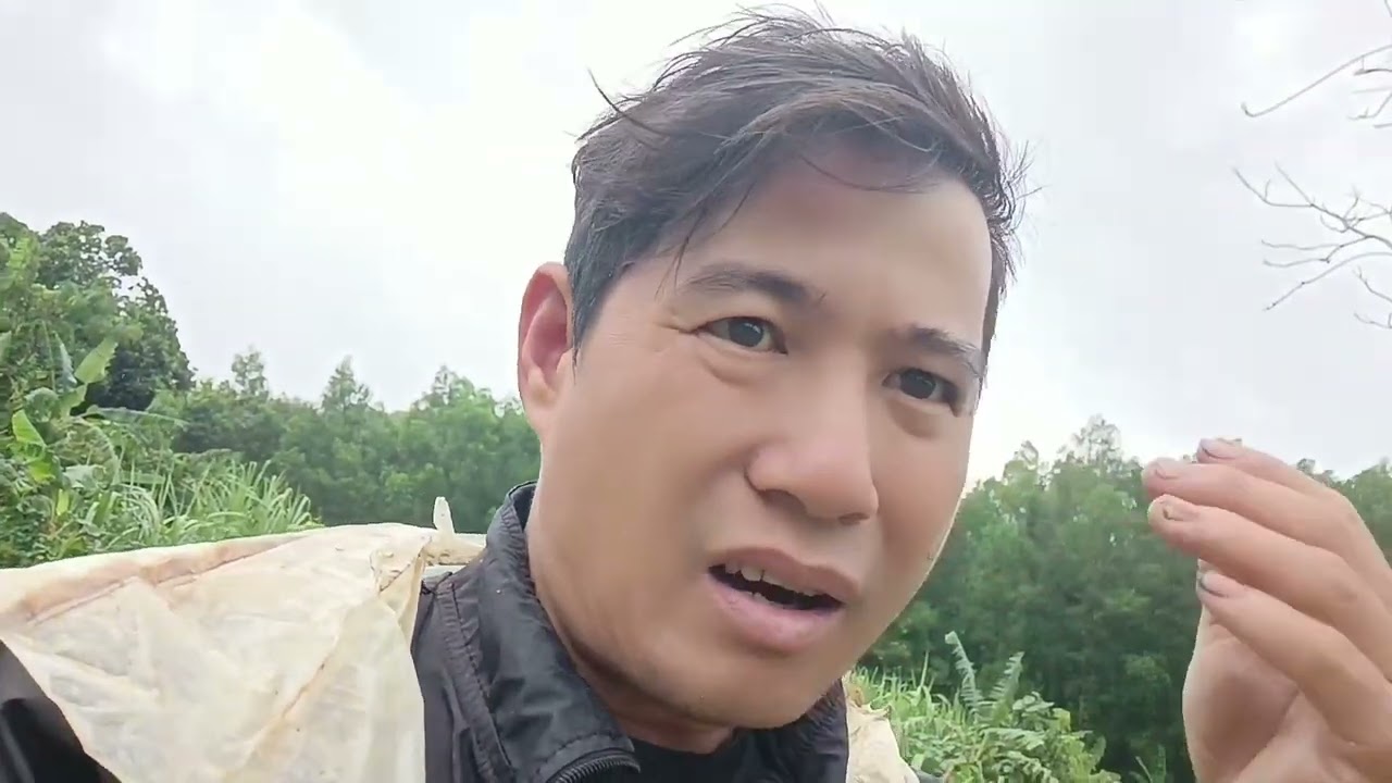 Vào rừng kiếm mấm đau đầu mùa thật tuyệt vời và cái kết