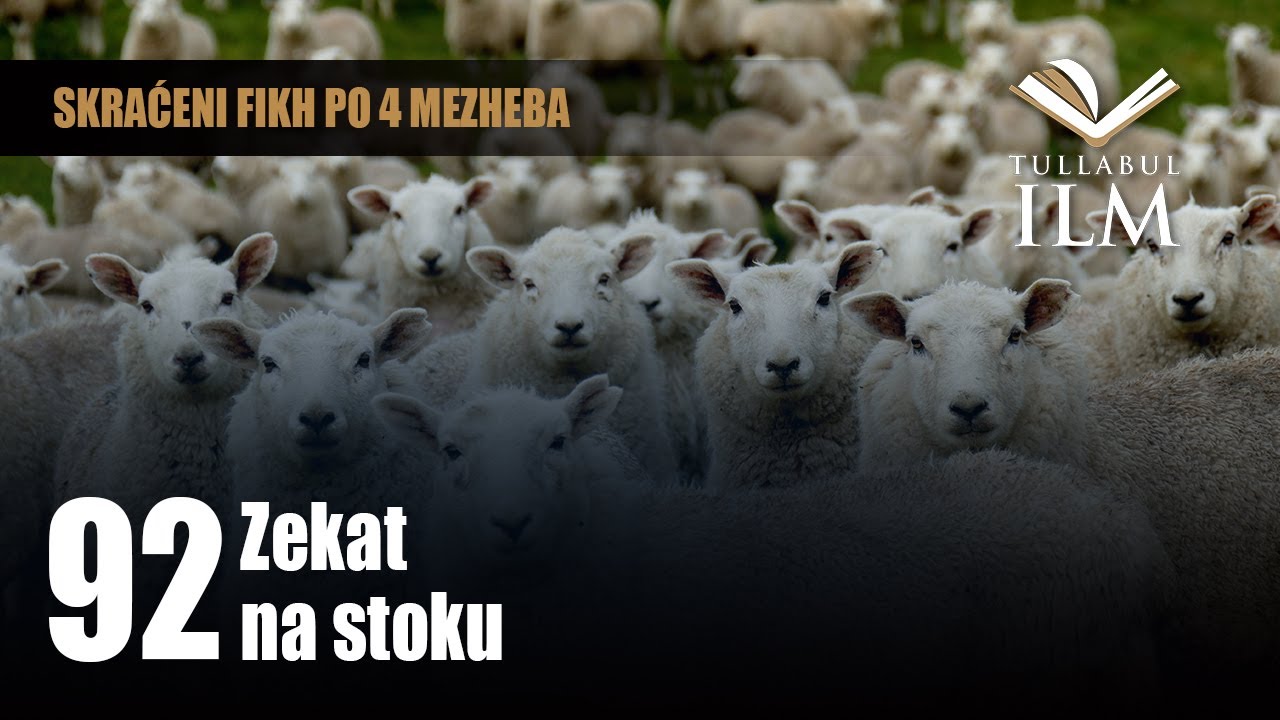 Zekat na stoku - dr. Zijad Ljakić - Tullabul Ilm