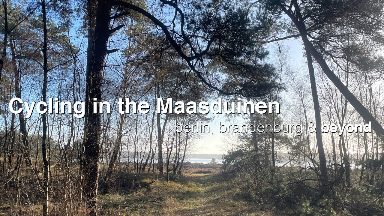 Cycling in the Maasduinen