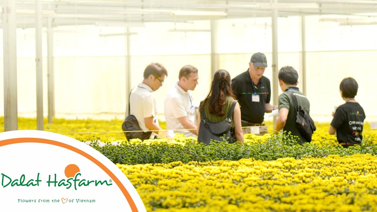 SỨ MỆNH VÀ TẦM NHÌN CỦA DALAT HASFARM