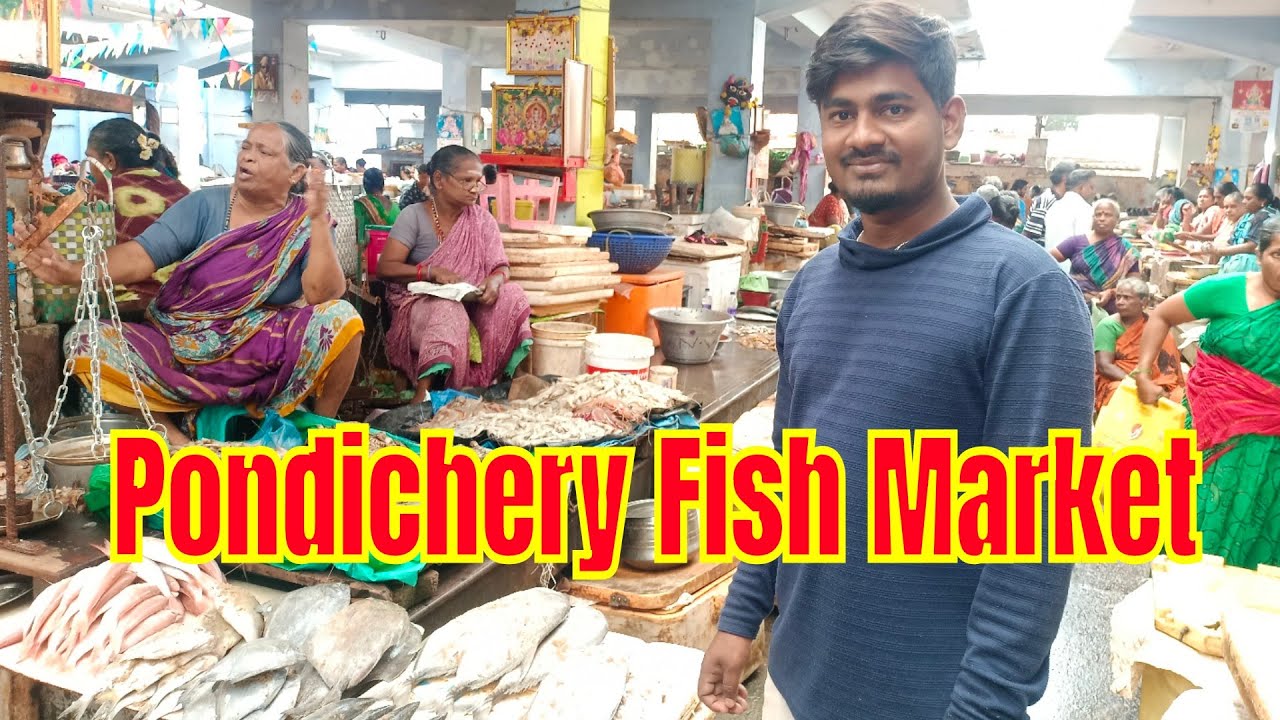Pondichery Fish Market || Pondichery Sunday Vlog #socialthozha #vlog #pondicherry #fish