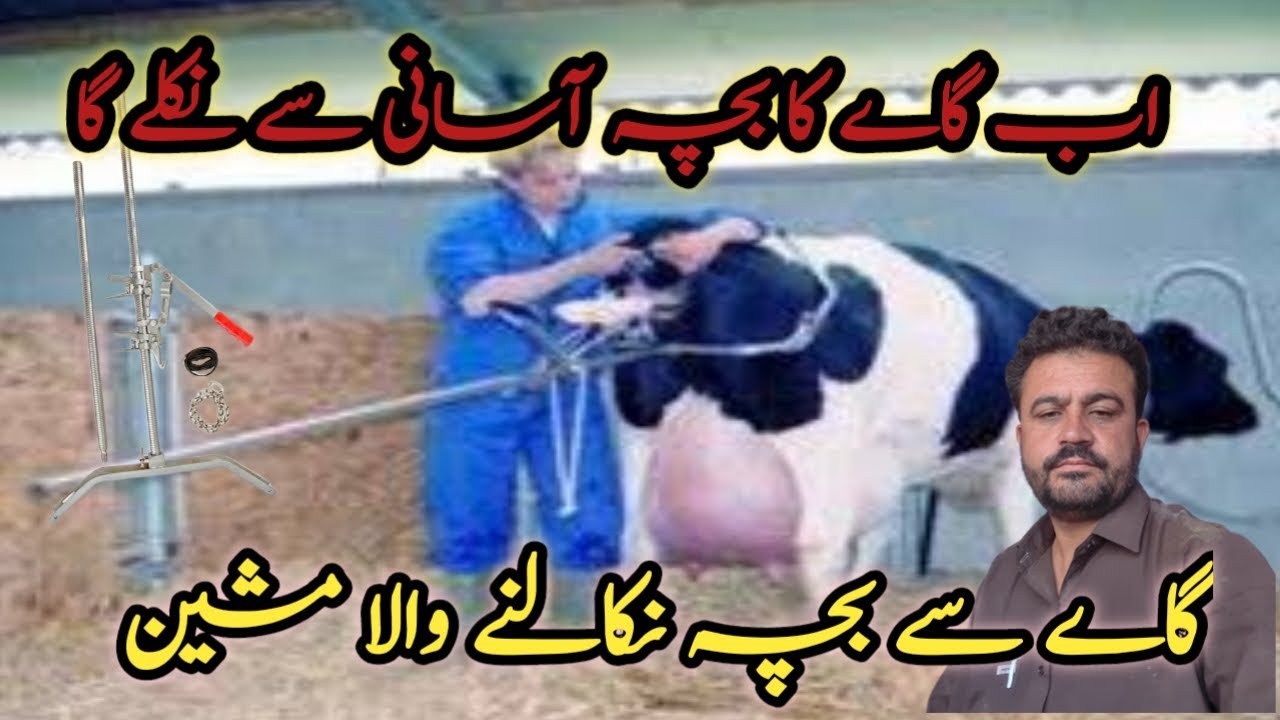 Calf puller for cows and Buffalo گاے سے بچہ نکالنے والا مشین