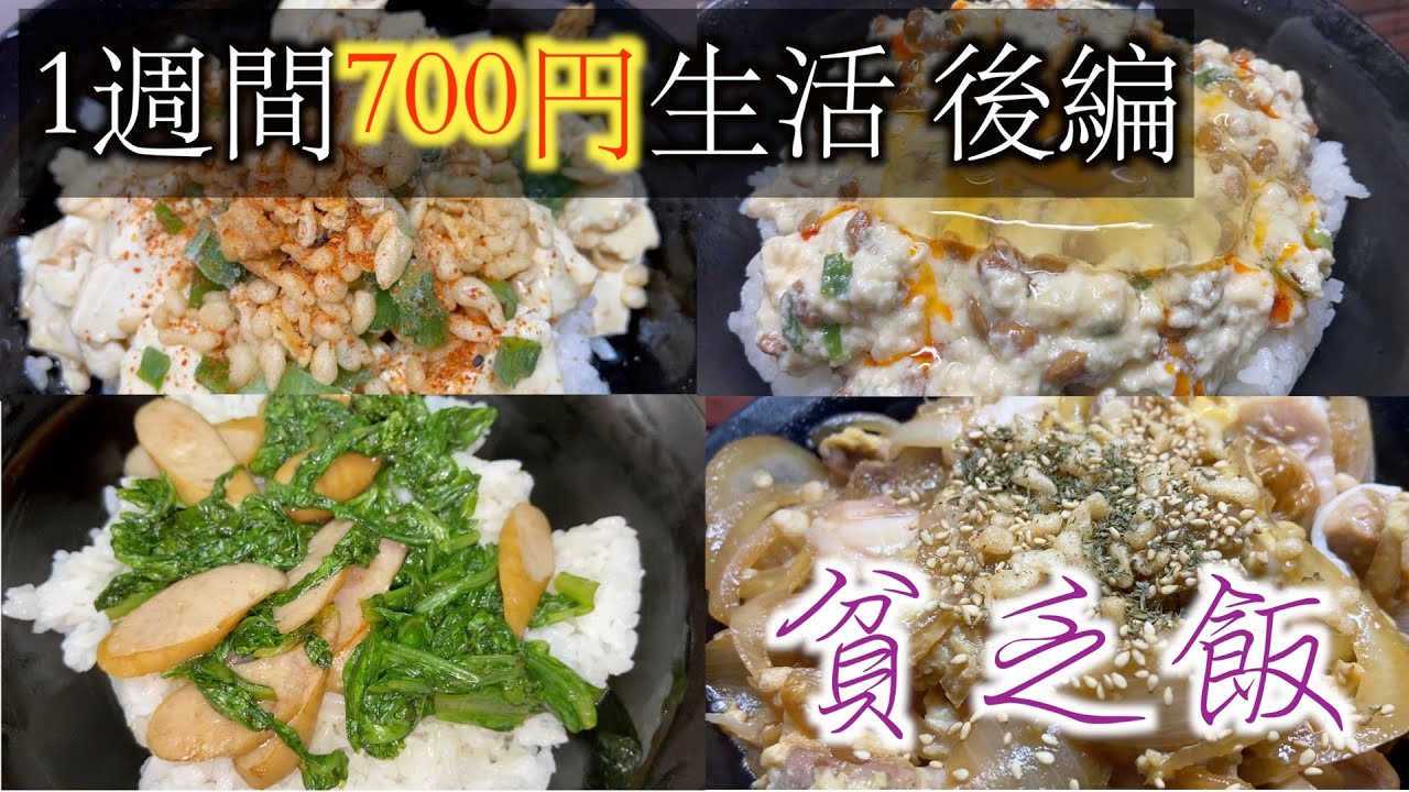 【貧乏飯】1週間700円で超節約生活【一人暮らしのレシピ丼限定】