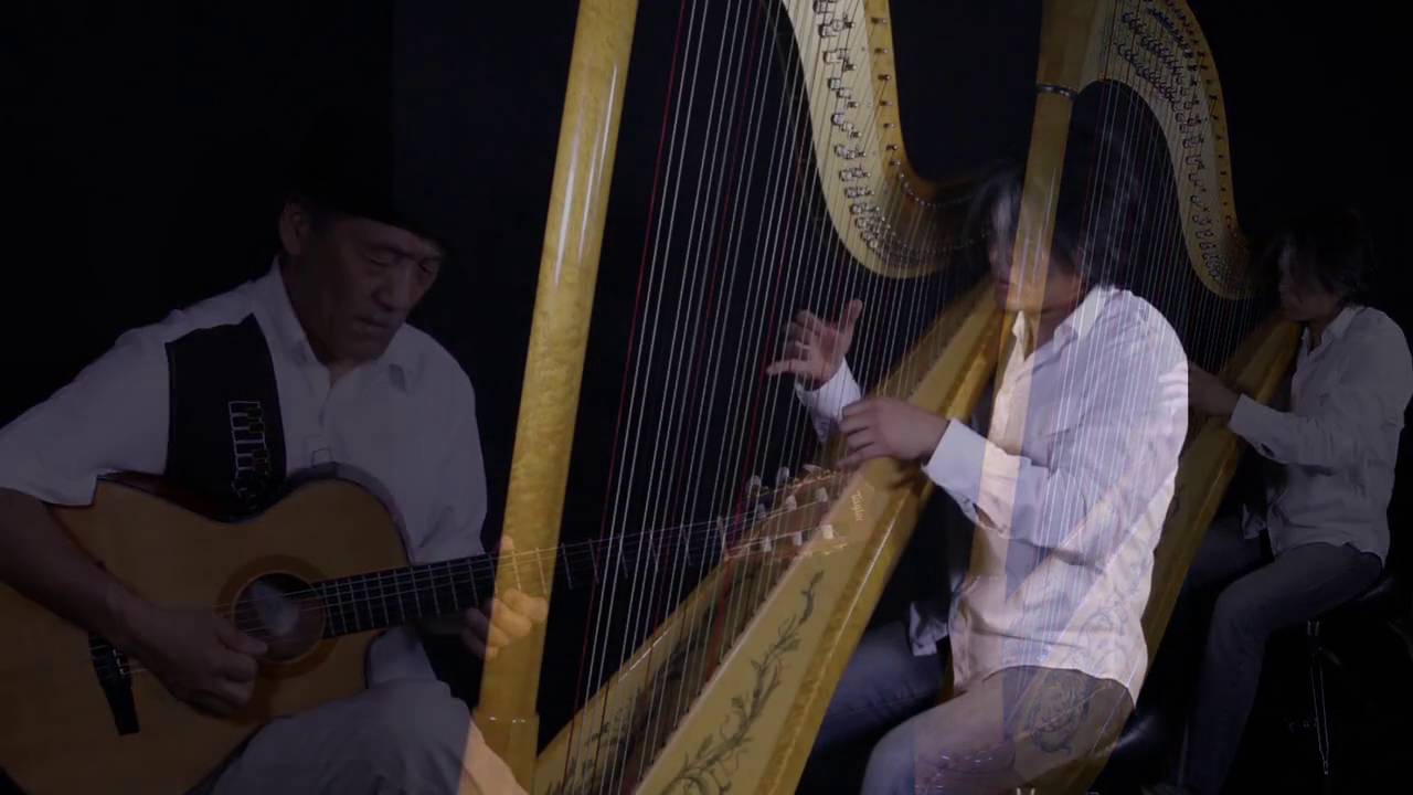 53 Strings Akio Sasajima & Motoshi Kosako　笹島明夫　古佐小基史