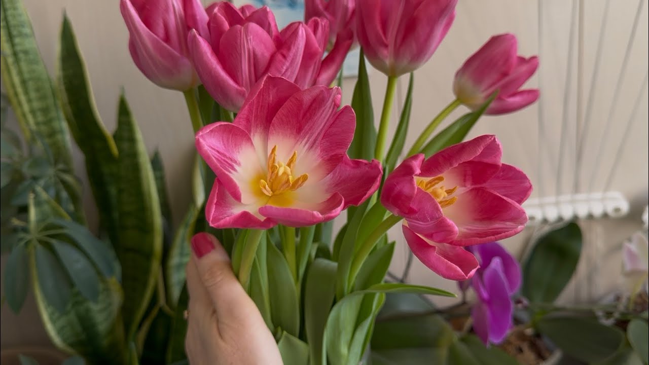 Приятные покупки для дачи/Девчонок с праздником!🌷