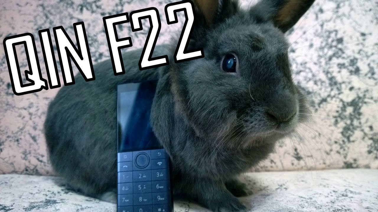 QIN F22| ИЛИ КАК ИЗБАВИТЬСЯ ОТ СОЦ. СЕТЕЙ