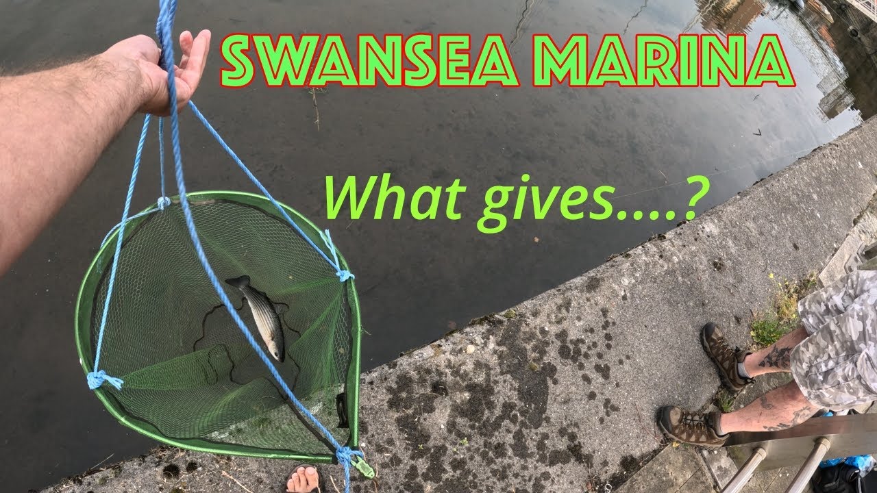 Swansea city fishing.