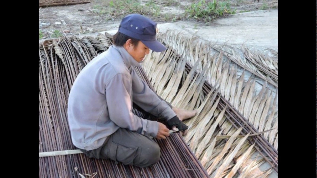 Coconut Broom Sticks Suppliers