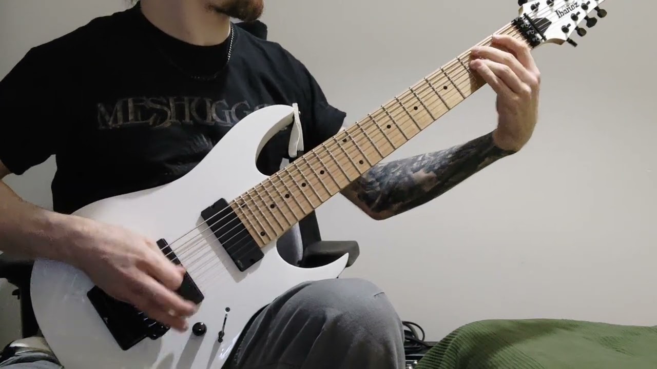 Through The Eyes of the Dead - Malice (guitar cover by Jakub Tokaj)