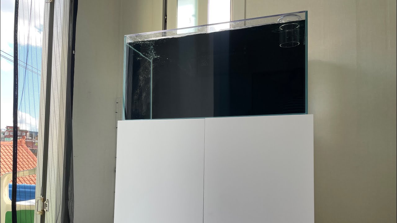 데들리-900 하단섬프수조셋!!